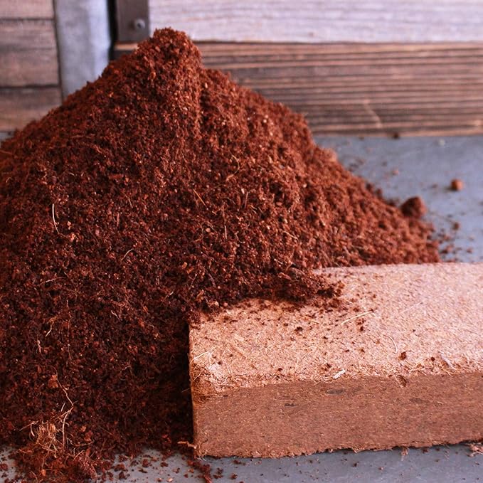 Minute Soil Organic Coco Peat 12 Pack β Lightweight Growing Bricks Expand to 18 Gal β Potting Mix for Microgreens, Herbs, Vegetables, Flowers, Indoor Containers, Seed Trays