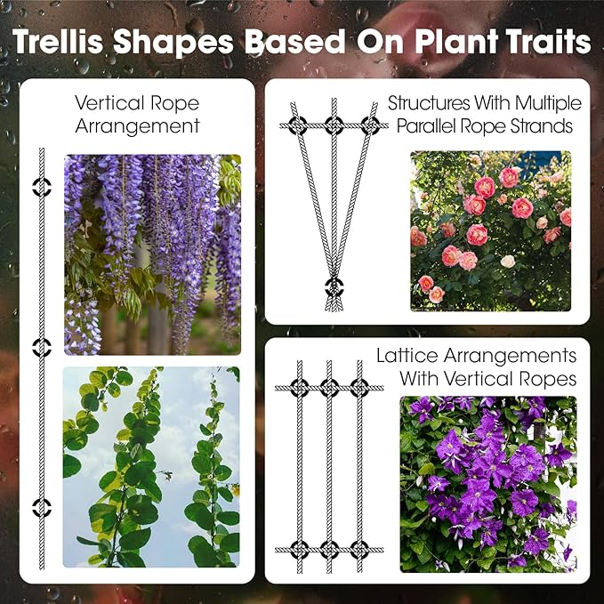 10 Sets Cylindrical Hubs Wall Trellis Kits, Wire Trellis for Climbing Plants Outdoor with 53Ft x 1/8" T316 Stainless Steel Rope, Garden Wire Trellis System for Espalier & Vertical Gardening
