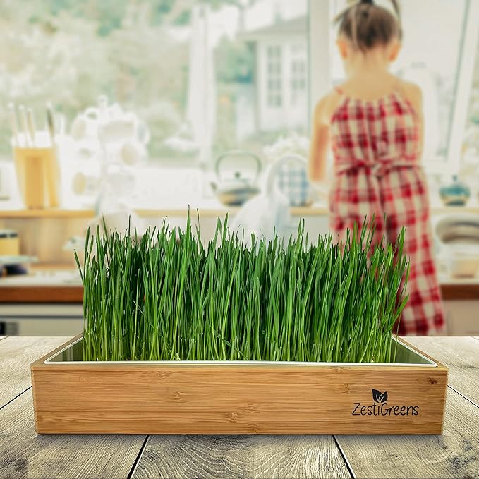 Organic Wheatgrass Self Watering Kit Refill Mats & Seeds for 5 Crops. (Refill Kits)