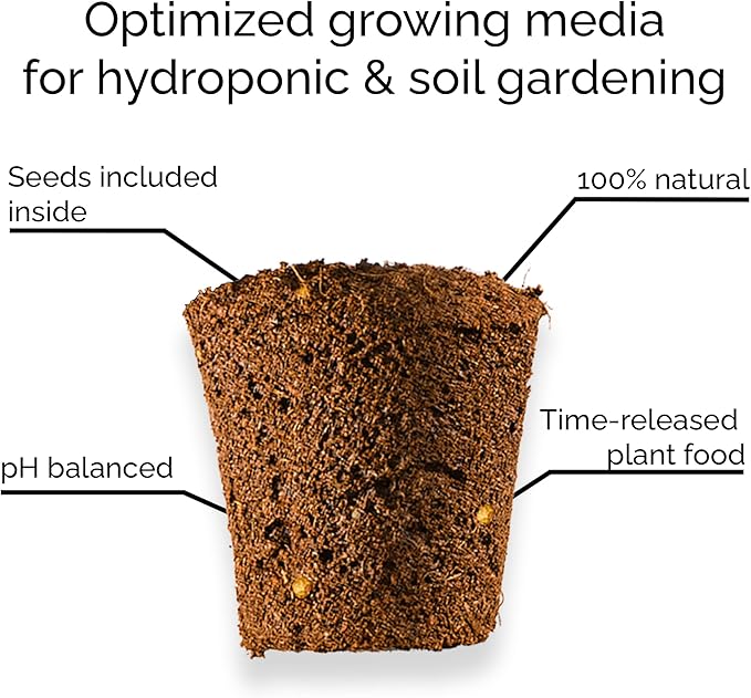 Mini Belle Pepper Mix - Complete Seed Pod Plugs with Plant Food - 10 Pods for Hyrdoponic Gardens, Click and Grow, Lettuce Grow and Outdoor Gardens