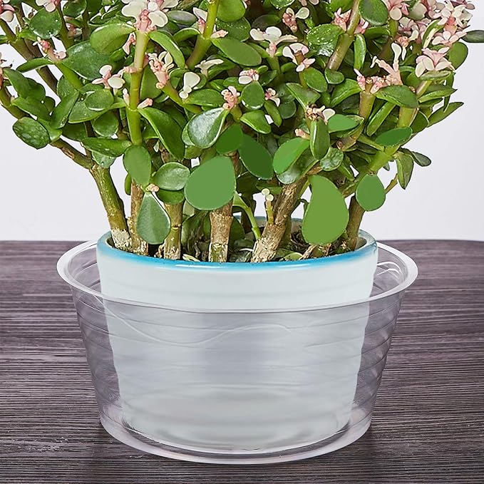 Idyllize 10 Pieces of 8 Inch Clear Thin Deep Plastic Plant Saucer Drip Tray for Pots (8'')