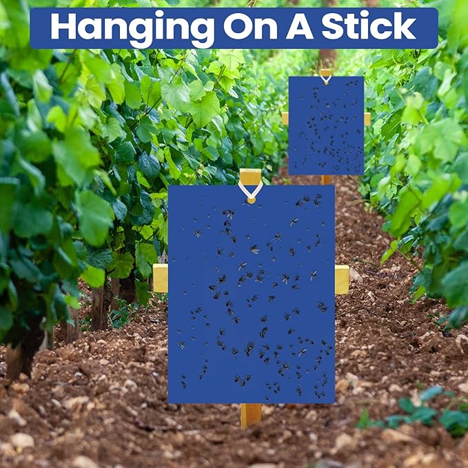 Qualirey 100 Pcs 6 x 8 Inch Sticky Traps for Plant Double Sided Sticky Trap for Gnats with Twist Ties Fly Traps for Fruit Insect Fungus Bugs Indoor Outdoor (Blue)