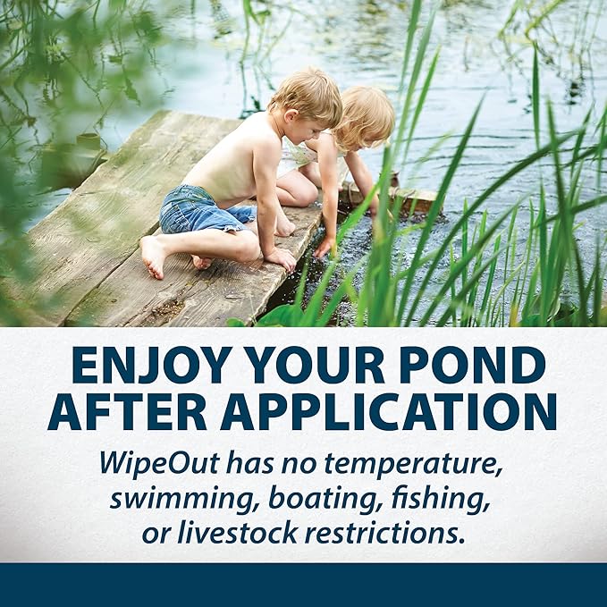 Airmax Wipeout Pond Weed Defense, Herbicide & Aquatic Weed Control, Controls Duckweed & Other Unwanted Submerged & Floating Vegetation, Easy-to-Use & Long Lasting, All-Season Treatment - 8 Ounce
