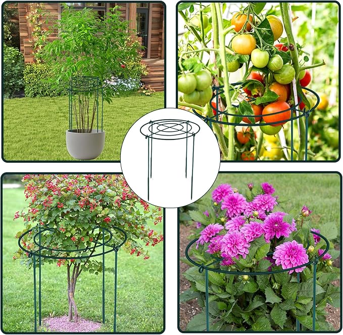 3Set Metal Peony Grid Cages, 30"H X 14"D Large Flower Support Cages Grow Through Hoop Ring Peony Stakes Garden Plant Support Rings Heavy Duty Plant Braces Peonies Structure for Outdoor Plants Blossoms
