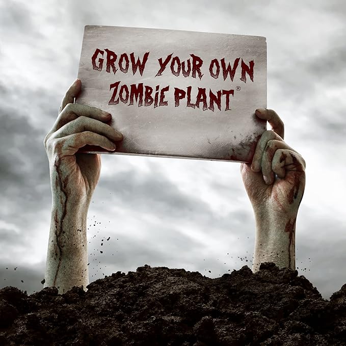 Zombie Plant Greenhouse Grow Kit - Touch It and Watch It Play Dead - Unique Grow Kit to Cultivate a Fun Indoor Plant That Revives in Minutes - Cool Plants and Great for Housewarming Gifts