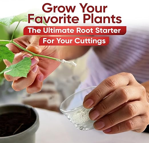 Hormex Rooting Powder #8 (0.80 IBA) - Rooting Hormone for Semi-Hardwood Houseplants, Medicinal and Tree Cuttings - Plant Root Stimulator for Cloning - Strong Roots for Maximum Propagation Success