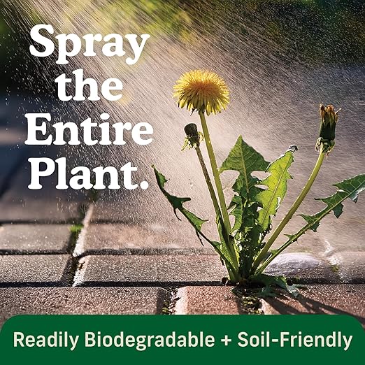 FireHawk™ Bioherbicide Concentrate 1.33 Gal | Fast‑Acting Alternative Weed Killer | Soil‑Friendly Formula | Makes Up to 28 gal for Broad‑Spectrum Control
