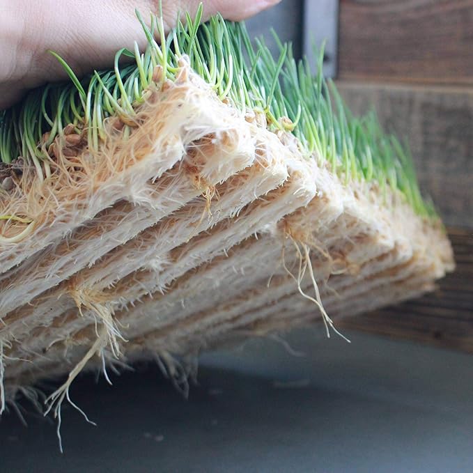 Handy Pantry Pro Micro Jute Microgreens Grow Mat Roll - 10 Inches Wide by 100 Feet Long - 1 Roll - Professional Hydroponic Growing Pad for Trays or Gutter - Micro Greens & Wheatgrass