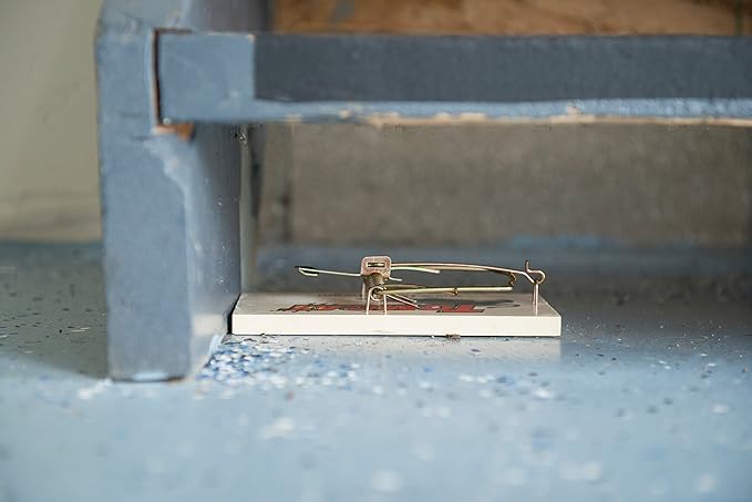 Tomcat Rat Trap (Wooden), 1 Trap (Pack of 2)