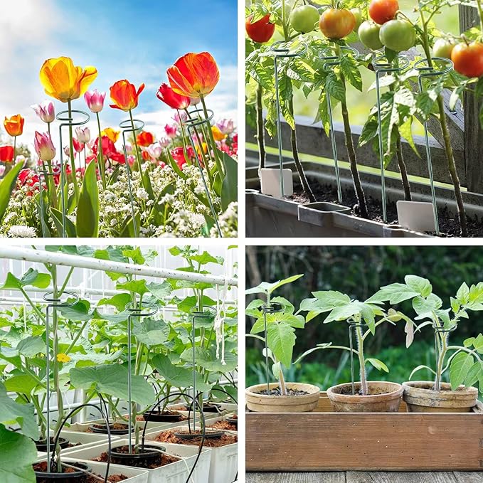 18 Inch 20 Packs Plant Support Stake Garden Single stemmed Plant Support Hoops Plant Prop for Flowers Orchid Tomatoes Peony Lily Rose Gladiolus (18 inch)