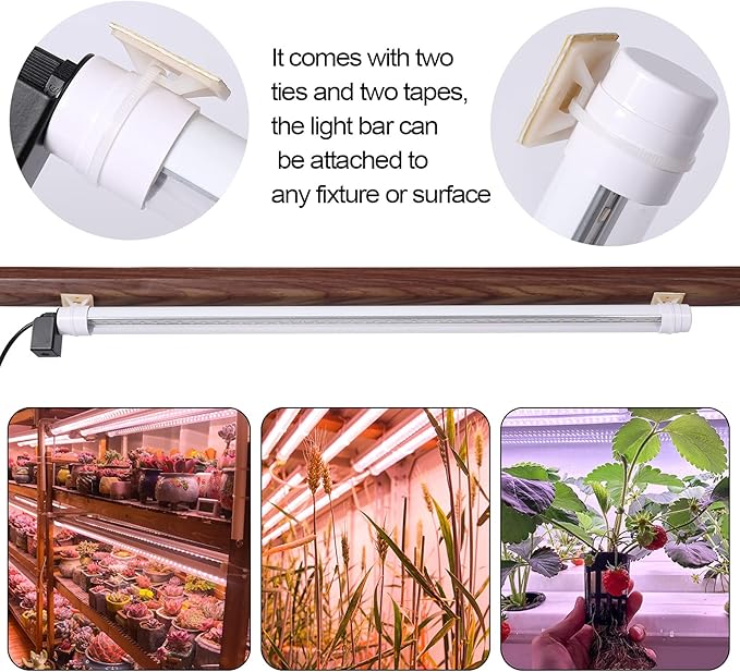 JCBritw Standing LED Grow Light,Adjustable 2ft T8 Bar Plant Light, White 4500K Full Spectrum Plant Grow Lamp on Stand for Indoor Plants Seed Starting, Seedlings, Veg, Flower
