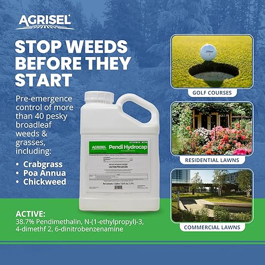 Pendi Hydrocap Weed Killer, Pre-Emergent Formula, Effective on 40+ Broadleaf Weeds and Grasses, No-Stain, Mixes Easily, Pet Safe, Includes 3-Pack of Agrisel Protective Gloves, 128 Ounces