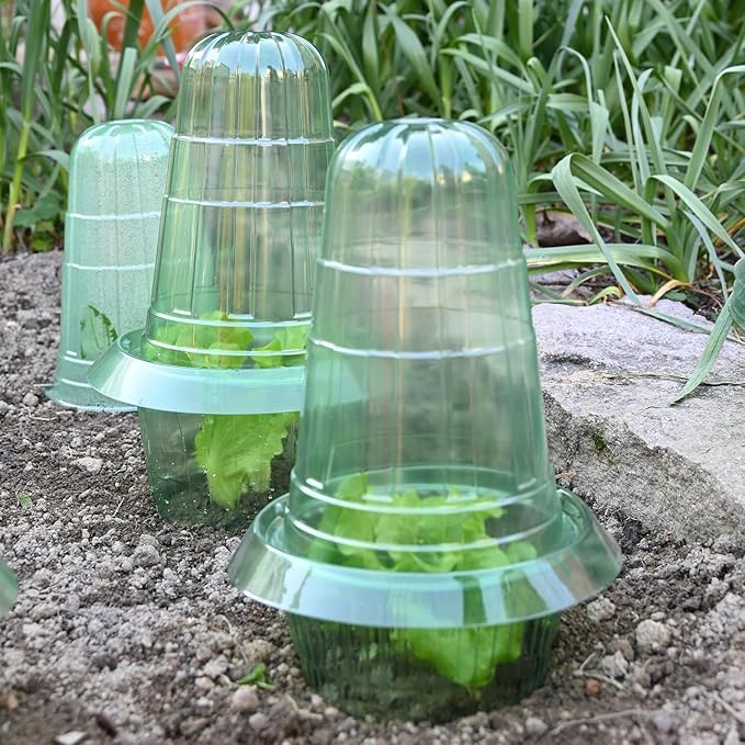 6 Pack Slug Collars for Plants,Medium-Sized Snail Protection Ring, Provides Effective Protection Against Snails for Your Salad Plants and Others Plants.