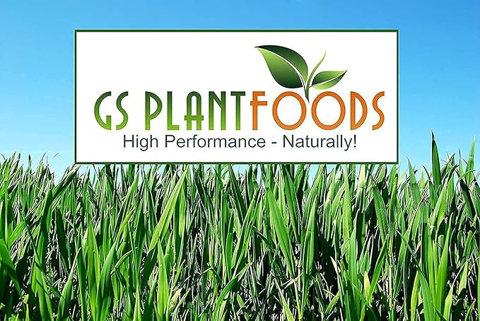 Humic Acid - Organic Liquid Humic Concentrate with Fulvic Acid - (275 Gallon Drum) - Multi-Purpose Soil Conditioner - Suitable for Gardens, Lawns, Houseplants & Trees