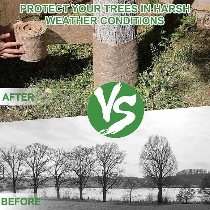 Agfabric Burlap Tree Wrap, 31''x50ft Natural Burlap Fabric Roll for Winter Tree Trunk and Outdoor Plants, Tree Trunk Guards Protect Bark, 100% Jute Plants Bandage for Keeping Warm and Moisturizing