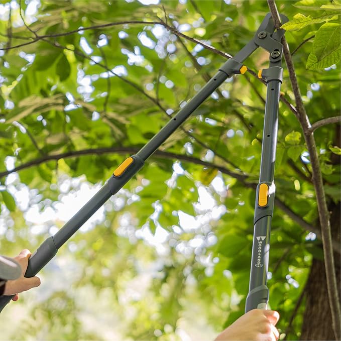 Woodland Tools Heavy Duty Extendable Lopper – 25 to 37 Inch Telescoping Branch Cutter with Lever-Action Bypass Blade – Manual Tree Limb Cutter for Thick Branches and Overhead Trimming
