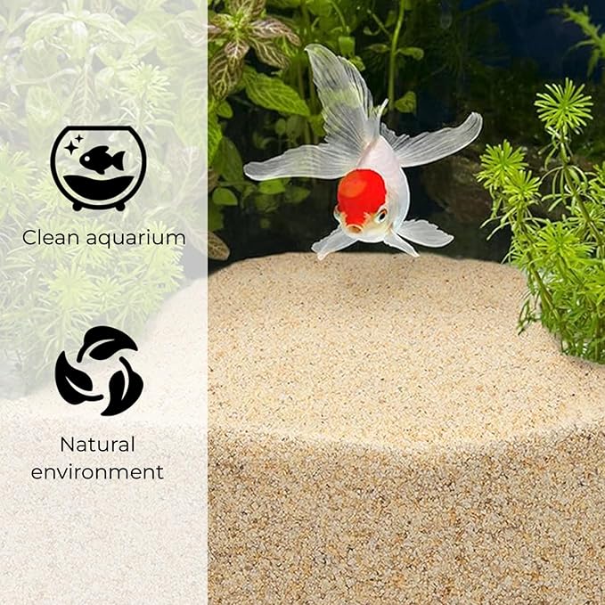 Coarse Silica Sand - 10LB - Gravel for plants - Horticultural Sand - Potting Sand Bonsai Cactus & Garden Sand Grit - Terrarium and Plant Sand Soil - Gardening Landscape Sharp Rocks Succulent Stones