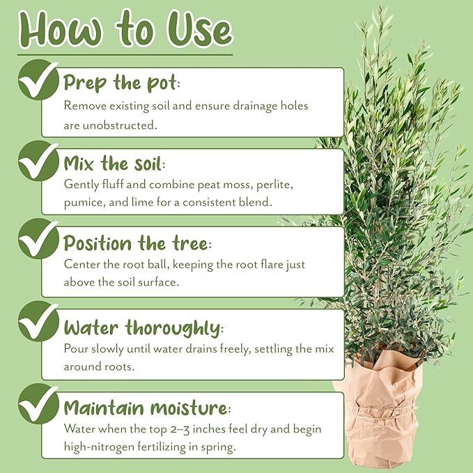 Olive Tree Potting Soil Mix (12 Quarts), for Planting, Repotting, and Growing Olive Bushes/Plants