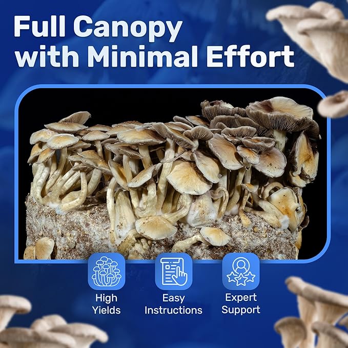 Surfin' Spores All-in-One Mushroom Grow Kit | 6 lb Grow-in-Bag Kit/Monotub Refill | Includes: 2 lb Sterile Grain Bag with Injection Port & 4 lb Organic CVG Substrate | Spores Not Included