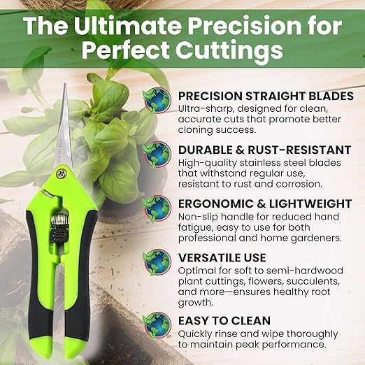 Hormex Rooting Powder #1, Rooting Cubes & Shears Combo - Rooting Hormone for Delicate Softwood Cuttings | Root Starter Cubes for Home & Garden Plants | Precision Straight-Blade Shears (50 Grow Plugs)
