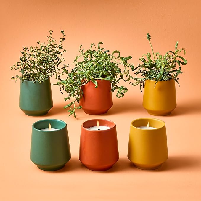 Modern Sprout Rooted Candle - 2 in 1 Tonka Bean Scented & Soy Candle with Seeds That Grows into Thyme Plant - 6 oz w/ 42 hr Burn time in Matte Glaze Ceramic Vessel Ideal for Indoor Herb Garden