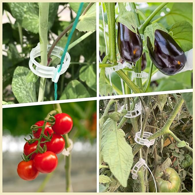 Dalzom® 300Pcs Tomato Clips, Plastic Trellis Clips Plant Support Clips, Plant Clips for Support, Grape Vine, Tomato Vine, Vegetables Plants, Garden Clips to Grow Upright Makes Plants Healthier