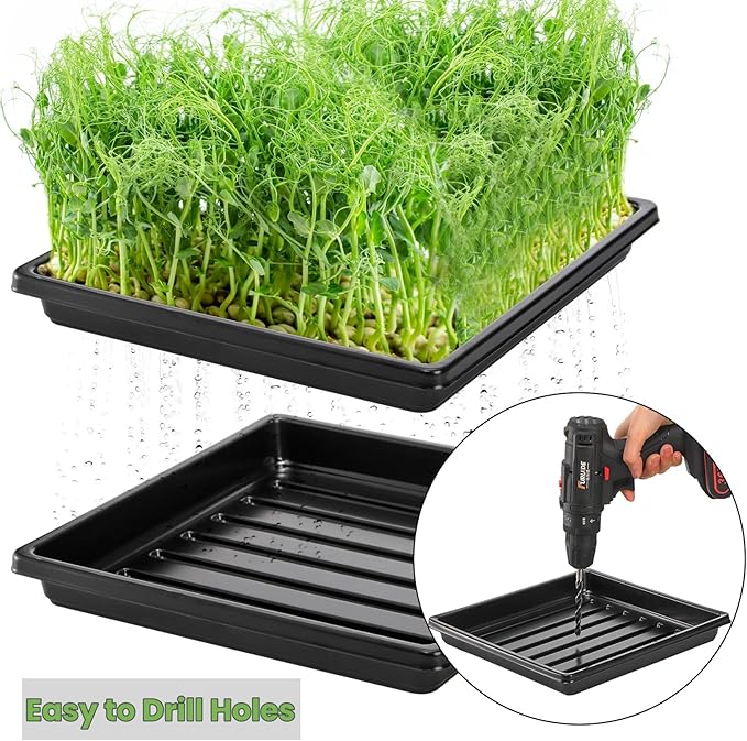 10 Pack Plastic Growing Trays, 10.6"x10.6" Garden Plant Growing Flats, Propagation Seedling Tray Without Drain Holes, Microgreens Seed Starter Tray for Greenhouse Wheatgrass Germination