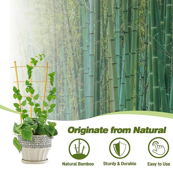 Avalution 10 Pack Bamboo Trellis for Climbing Plants 16" Natural Garden Ladder Trellis, Fan -Shaped Plant Support Trellis for Potted Plant Decor