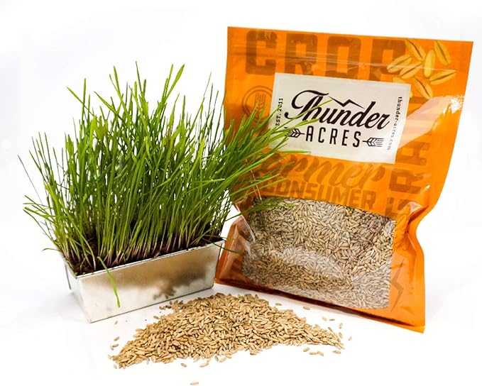 Thunder Acres Organic Winter Rye Seeds, Non-GMO (1 lb)