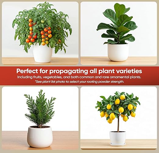 Hormex Rooting Powder #8 (0.80 IBA) - Rooting Hormone for Semi-Hardwood Houseplants, Medicinal and Tree Cuttings - Plant Root Stimulator for Cloning - Strong Roots for Maximum Propagation Success