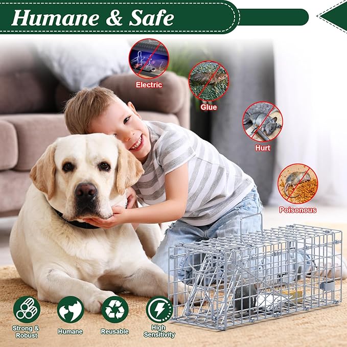 2 Pack Humane Rat Trap, Foldable Single Door Metal Mouse Cage with 2 L-Shaped Rods for Small Squirrel Raccoon Feral and Other Small Live Animals, Easy to Catch and Release, Work for Indoor Outdoor