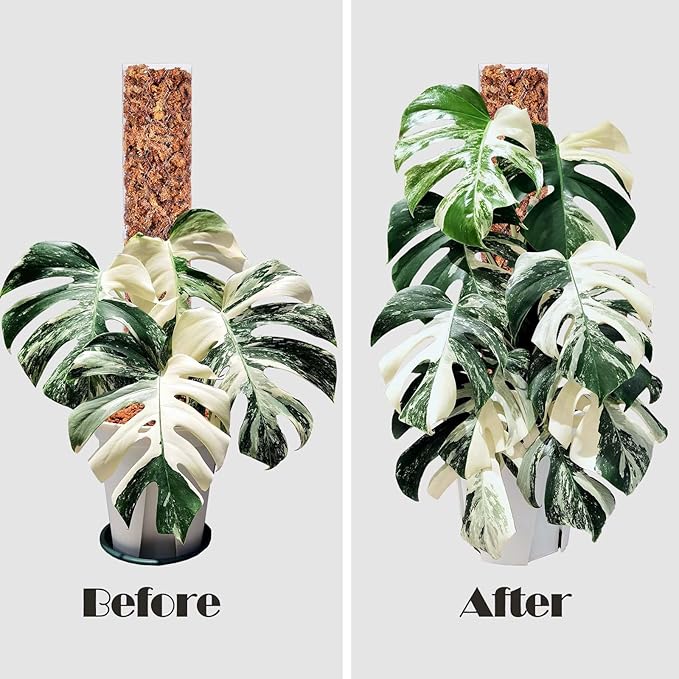 4 Pcs 17 Inch Plastic Moss Pole for Plants Monstera,Designed Specifically for Climbing Plants, Stackable Plant Support for Indoor Plants