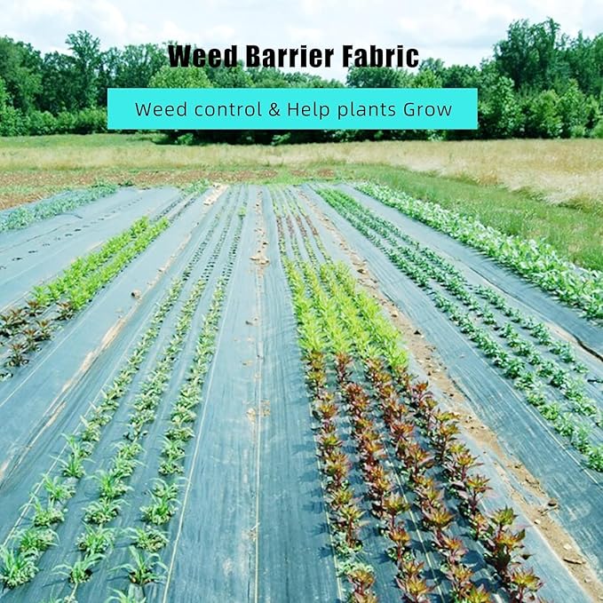6ft X 300ft Weed Barrier Landscape Fabric Heavy Duty, Premium 3.2oz Ground Cover Weed Block Gardening Mat, Easy Setup & Superior Weed Control, for Erosion Control, Weed Barrier