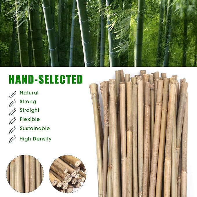 Plant Bamboo Post,4Feet,Bamboo Garden Stakes,50PcsBamboo Stakes,for Tomato,Beans,Vegetable and Flowers, Potted Plants,Indoor and Outdoor Climbing Plants