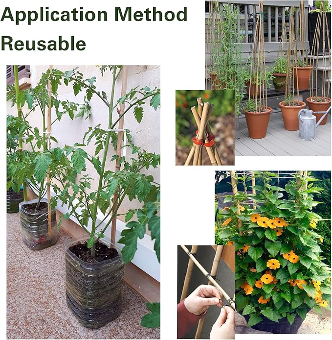 Bamboo Stakes 8 Feet, 96 inch Garden Stakes Multi-Purpose, Bamboo Plant Support Stakes for Tomatos, Beans, Cucumbers, Peppers, Potted Trees, Maintain The Plant Posture, Strengthen and Stem
