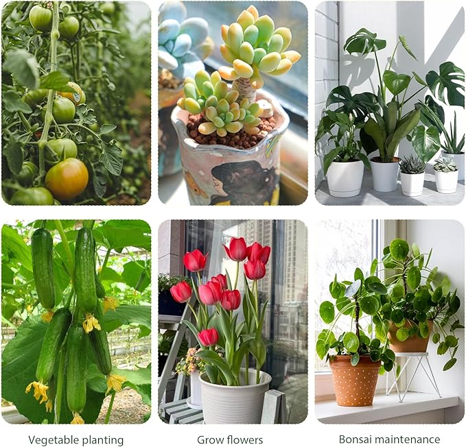 10 Pack Stackable Monstera Plant Support, 2025 New Plant Stakes for Indoor and Outdoor Plants Use, Garden Stakes for Climbing and Potted Plants, Pothos, Philodendron (10 Pack)