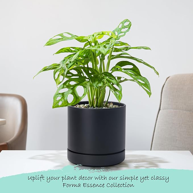 Phoenix Vine 6 Inch Planter Pot with Drainage Hole & Saucer, Deep Water Catch Tray, Straight Cylindrical Round Pot for Plants, Matte Black, Pack of 3, 23-C-S-3
