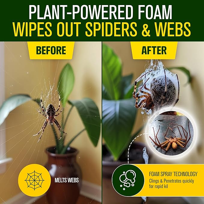 Green Guard Pest Control Spray - Indoor & Outdoor Killer of Ants, Roaches, Spiders & Other Crawling Insects, Safe Around Children & Pets, Plant-Based, Pleasant Scent (Peppermint Hit, 32oz)