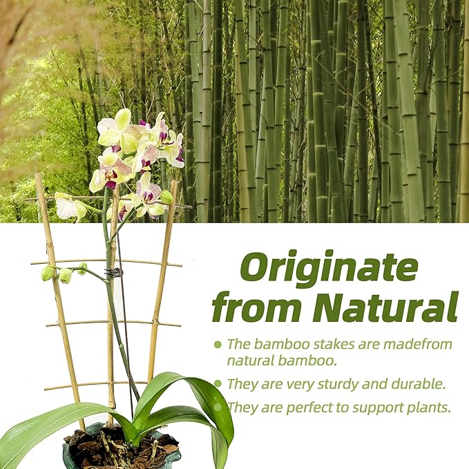 16Inch 5Pack Bamboo Trellis for Climbing Plants, Garden Ladder Trellis for Potted Plants Indoor, Fan Shaped Small Plant Support Trellis for HousePlants Ivy Vine Monstera 3-4