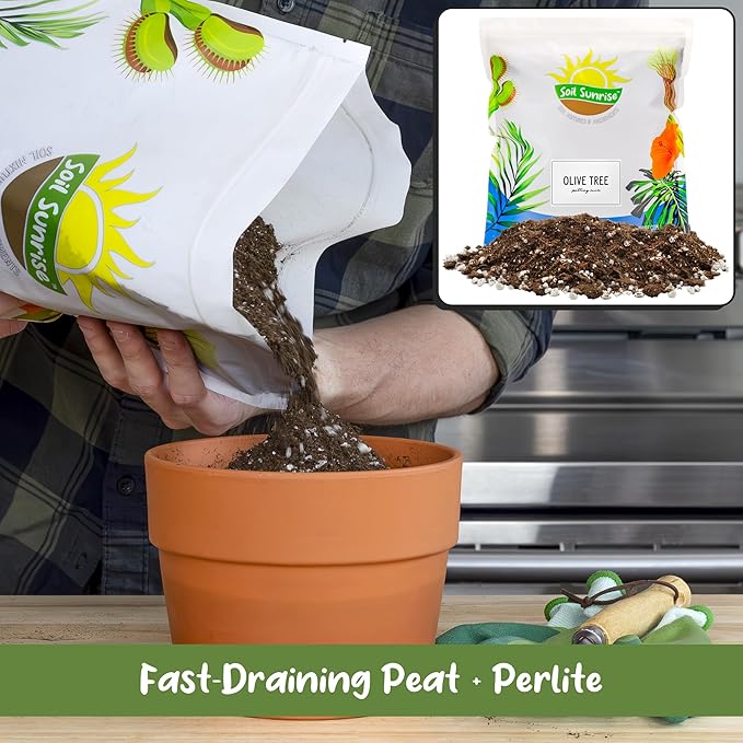 Olive Tree Potting Soil Mix (8 Quarts), for Planting, Repotting, and Growing Olive Bushes/Plants