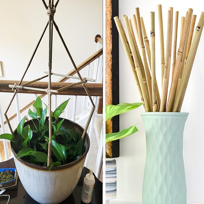 0.32”-0.4"/18Inch Garden Stakes, Natural Bamboo Sticks Plant Stakes for Indoor and Outdoor Plants,Poles for Tomatoes, Beans, Potted Plants(50Pcs)…