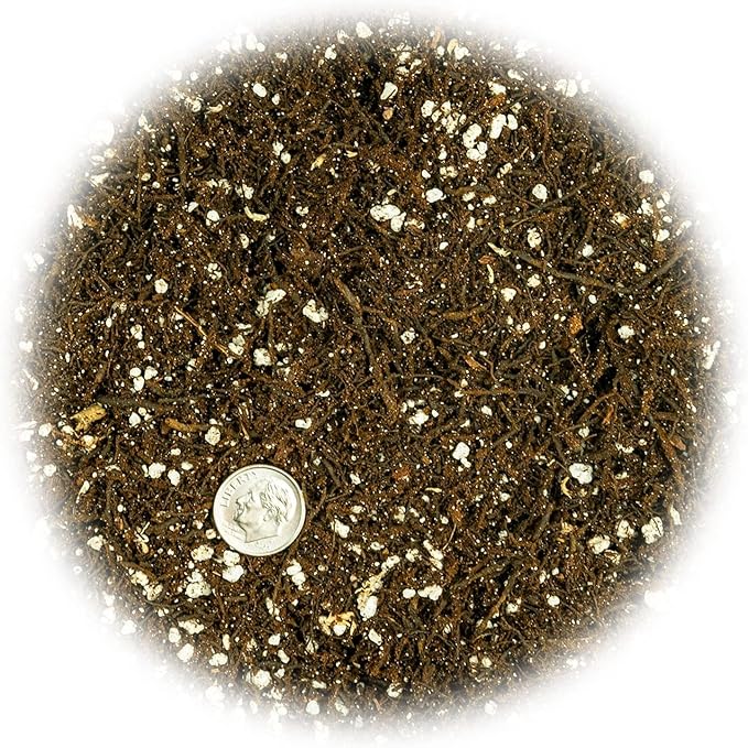 Premium Organic Potting Soil, Succulent & Cactus Soil Mix, Fast Draining Pre-Mixed Blend - Horticultural Perlite (25%) + Peat Moss (75%) - Made in USA - 4 Quart