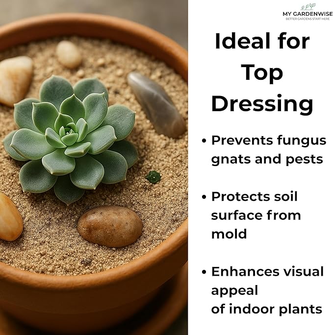 Fine Sand for Plants β Horticultural Sand for Succulents, Cactus, Potting Mixes, Terrariums & Decorative Indoor Gardens, Made in USA (5 quarts - 14 lbs)