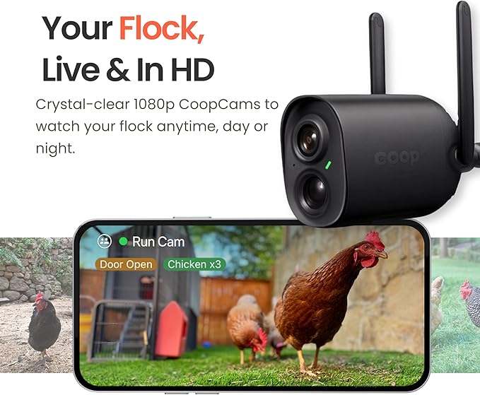 Coop Smart All-in-One Chicken Kit – Includes Automatic Door, and (2) AI CoopCams for 4-6 Chickens, Solar Optional