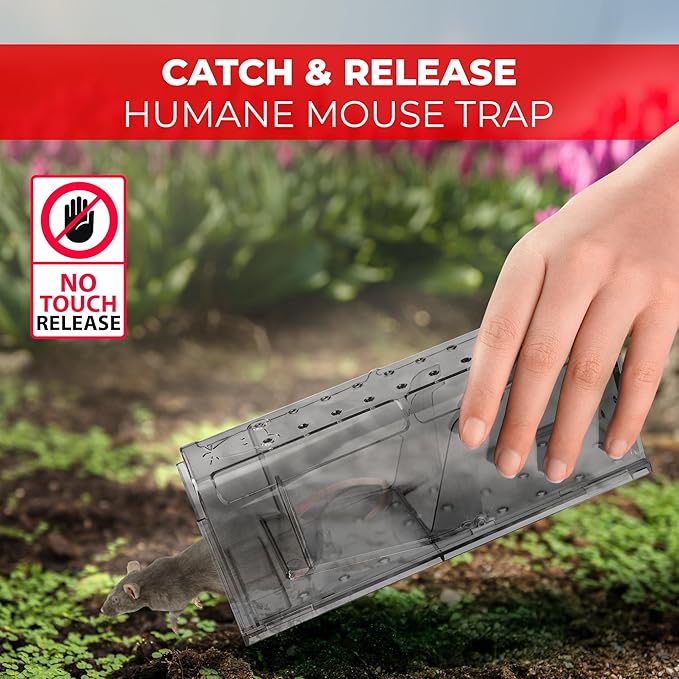 Humane Mouse Trap Pack of 4 - No Kill - Live Mouse Traps Indoor for Home Use - Reusable Rodent Traps for House Indoor, Safe & Effective Rat Trap Outdoor - Humane Mice Control with Cleaning Brush