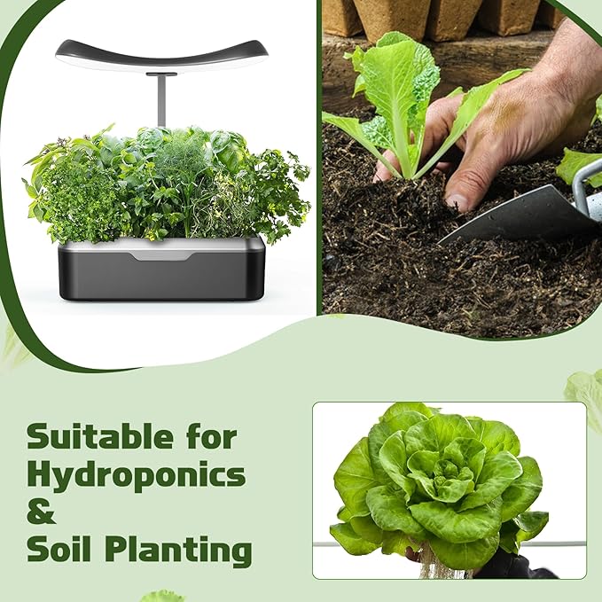 Lettuce Seed Pods for All Hydroponics Growing System, 8 Pods with 600+ Seeds of Romaine/Butter Head/Red&Green Leaf/Black Seeded Simpson/Red Sail and Marvel of 4 Seasons