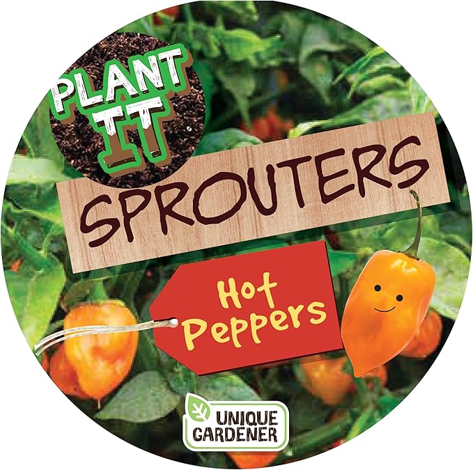 Plant-It Starters Plant Seeds 4 Variety Pack, DIY Indoor Succulents and Live Plants for Home or Garden Planting, Assorted Seed