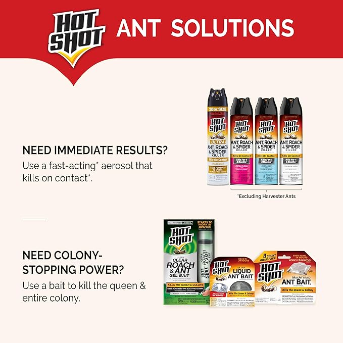 Hot Shot MaxAttrax Ant Bait, 0.07 oz Bait Stations, 4 Count, 12 Pack