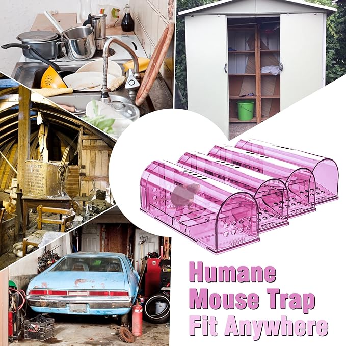 4 Pcs Humane Mouse Traps No Kill, Live Mouse Traps Indoor for Home, Reusable Mice Small Rat Trap Catcher for House & Outdoors(Pink)