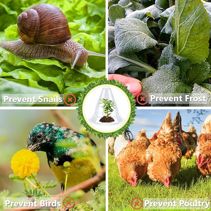 【20 Pieces】 Garden Cloches for Plants, Large Plant Covers Plant Protectors Transparent Bell Jar Cloches to Protect Plants from Birds, Slugs, Frost, Freeze Weather, 10.6" D x 9.5" H, Transparent